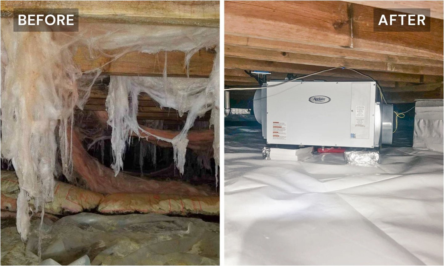 Crawl space work